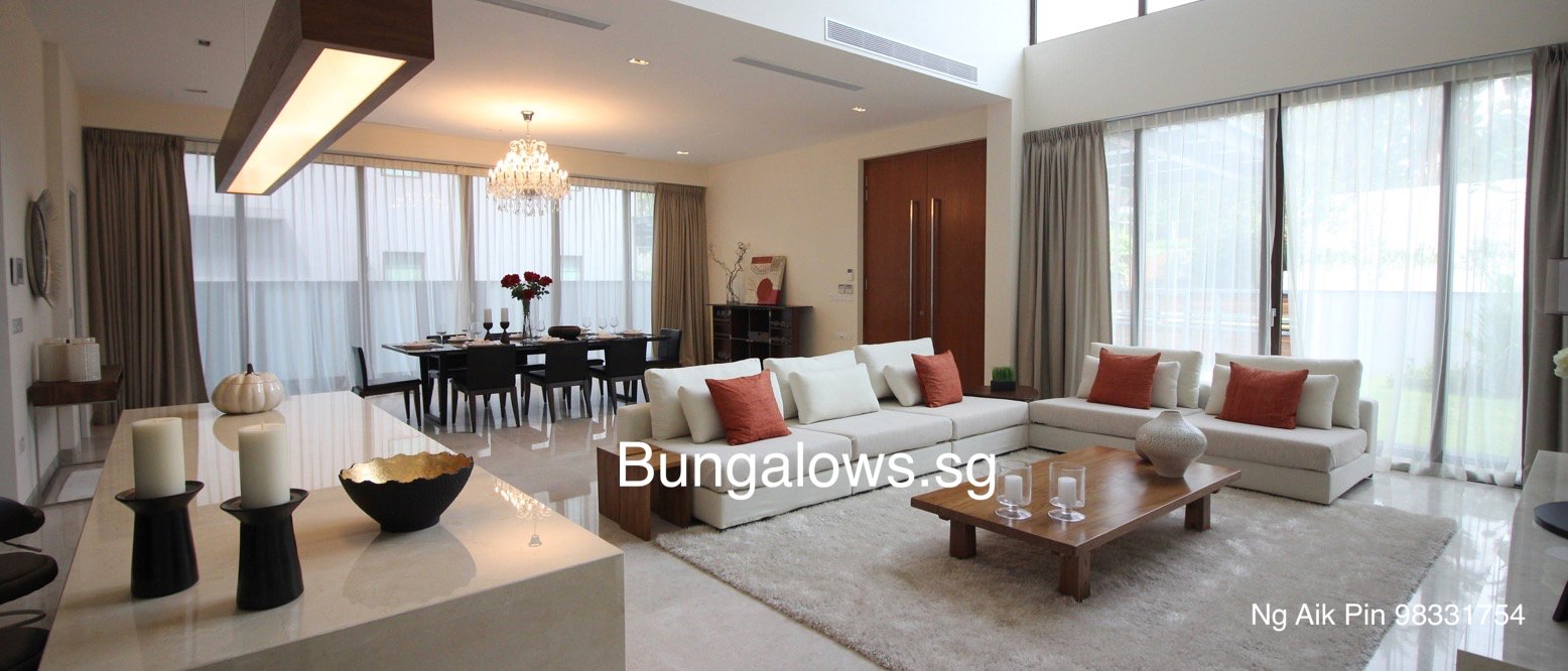 For Sale - Brand New Detached near MacRitchie (S00024)